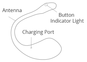 Lush 2nd Gen by Lovense button instructions.