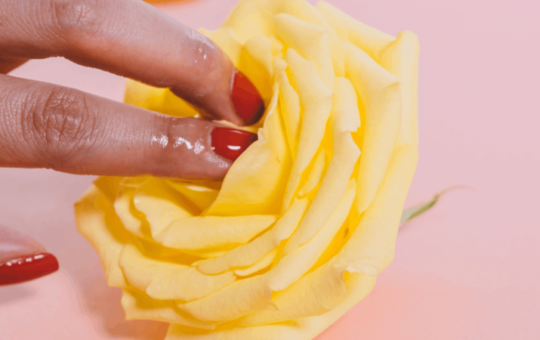 Fingers on yellow rose