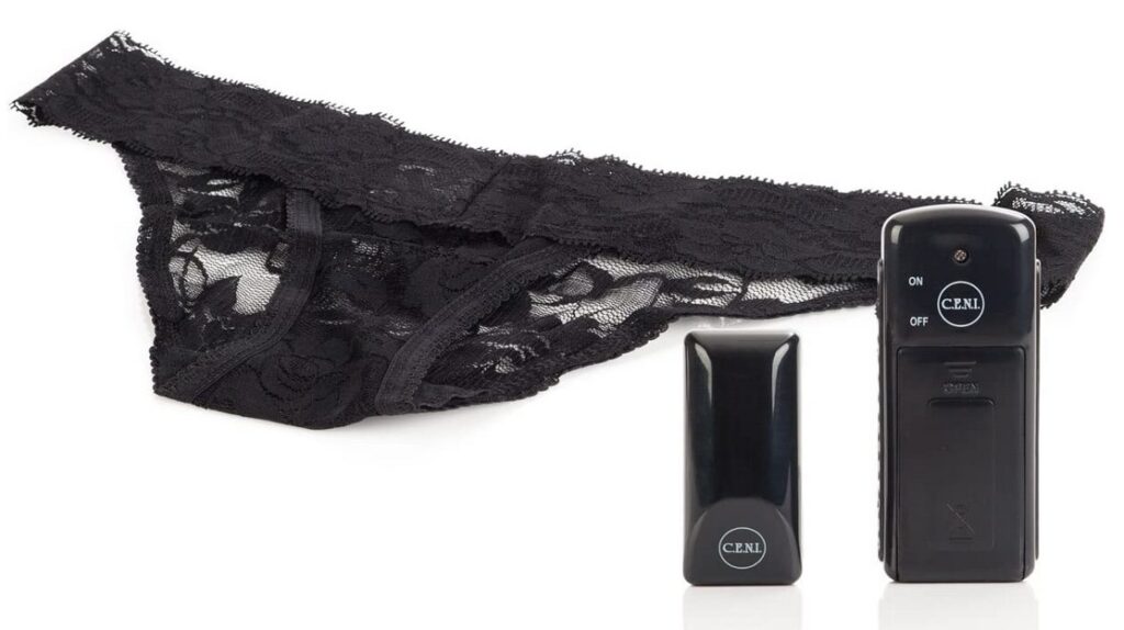 remote control vibrating panties