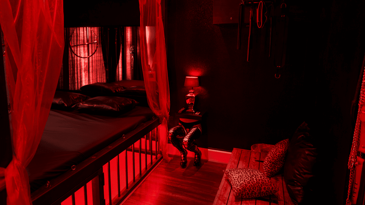 Kinky Hotels picture