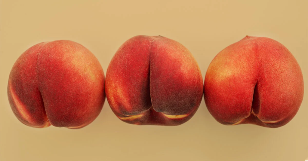 row of 3 peaches that look like butts, proper anal training