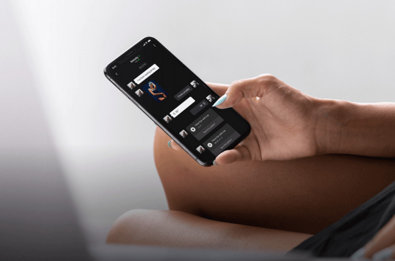 partner controlled vibrator from Lovense