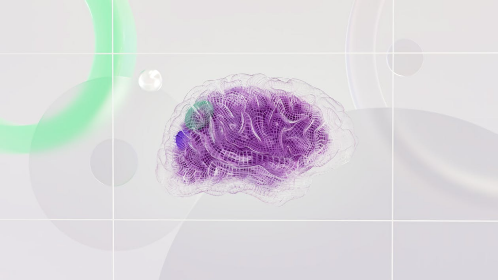 An artist’s illustration of the human brain