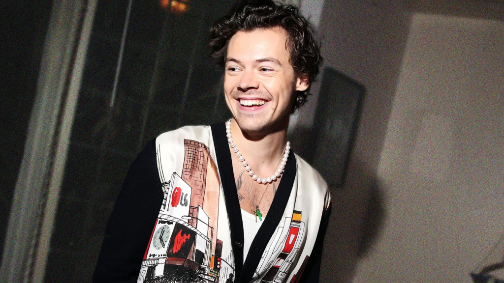 harry styles sex toys