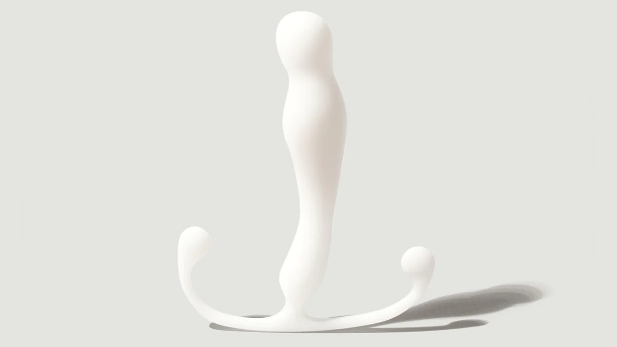 Aneros Eupho - an example of a fixed neck prostate massager