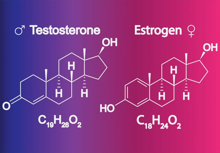 Testosterone and estrogen hormones