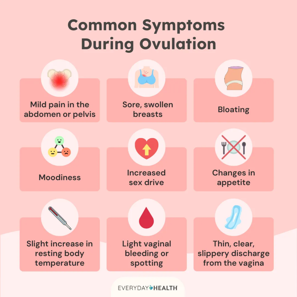 common symptoms during ovulation infographic
