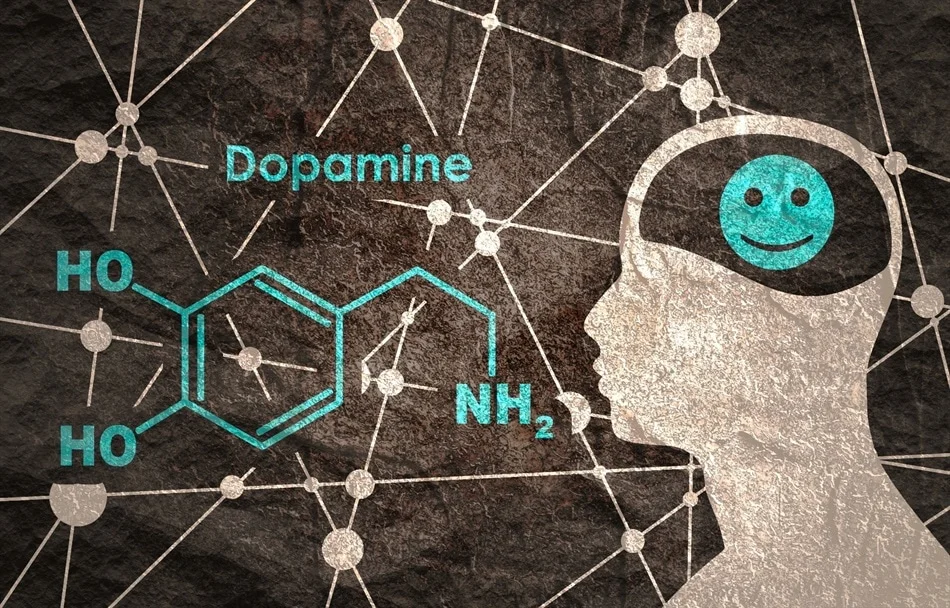 dopamine and sex illustration