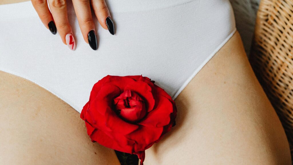 close up of woman in white panties with a rose between her legs